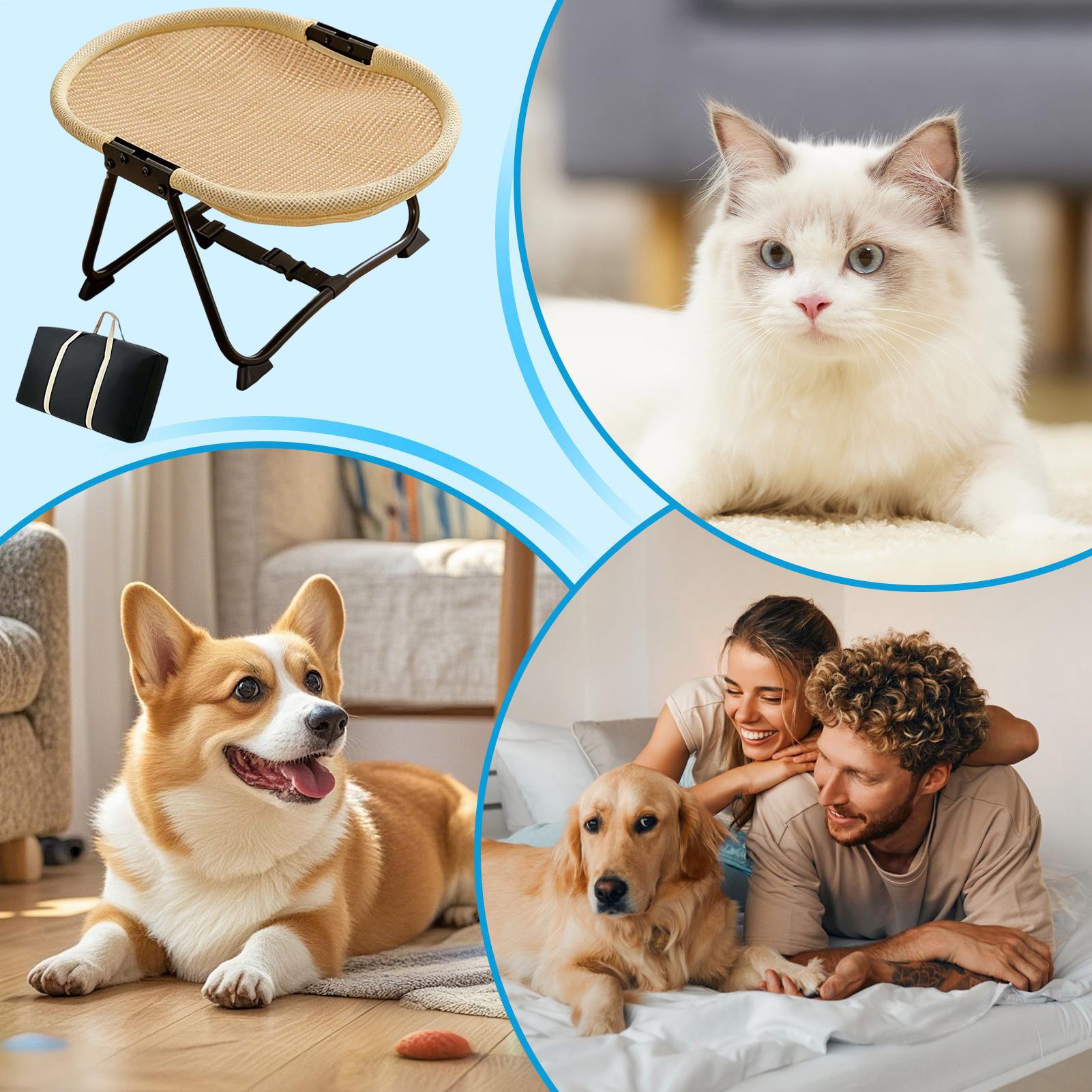 Cuccia per cani pieghevole, mo - Camping Cot Foldable recensione e prezzo