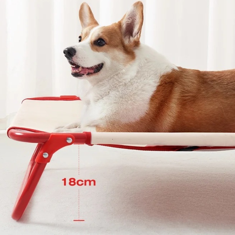 Letto per cani pieghevole per  - Camping Cot Foldable recensione e prezzo